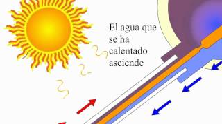 Funcionamiento calentador solar de agua [upl. by Klement]