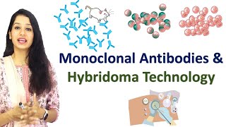 Monoclonal Antibodies and Hybridoma Technology I Immunotechniques I Immunology [upl. by Yecies]