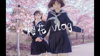 魔都樱花季🌸｜上海顾村公园 【吹响吧！上低音号】 [upl. by Annodahs]