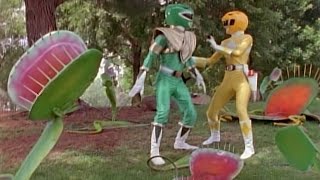 Mighty Morphin Power Rangers Episode 10  Welcome To Venus Island  Season 2 Review powerrangers [upl. by Aitnohs113]