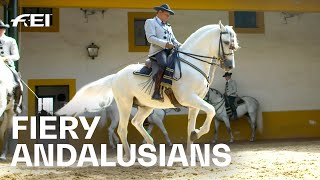 Something for the bucket list The 👑 Andalusian School of Equestrian Art RIDE presented by Longines [upl. by Lemrac]