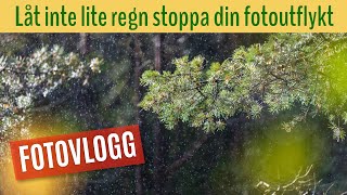 Lite regn ska inte kunna stoppa min fotoutflykt  härlig höstkänsla ute i skogen  fotovlog [upl. by Kauffman]