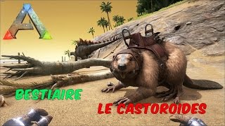 Ark Survival Evolved  FR  Bestiaire  Le Castoroides [upl. by Meredeth732]