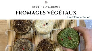 Délicieux fromages végétaux fermentés aux herbes  une recette facile [upl. by Nylknarf787]