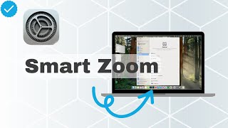 How To Turn On Smart Zoom On MacOS [upl. by Eiro]