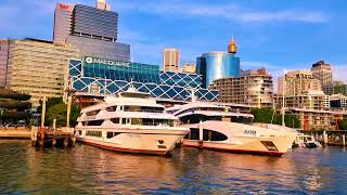 Beautiful Harbour View Pyrmont Bay Sydney  Scenic Ferry Tourist Attractions Australia💙 [upl. by Eelanej]