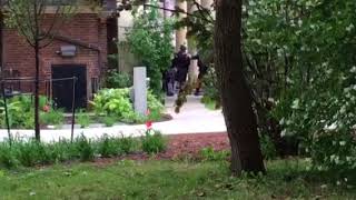 RAW Police move in with guns drawn at U of T [upl. by Parish]