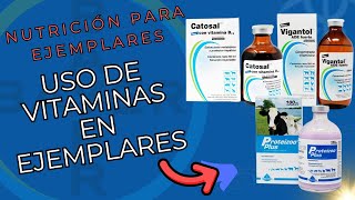 USO DE VITAMINAS EN NUESTROS EJEMPLARES CATOSAL VIGANTOL PROTEIZOO [upl. by Charmane]