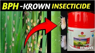 KROWN INSECTICIDE Dinotefuran 20 Translaminar insecticide  कृषि रसायन क्राउन कीटनाशक [upl. by Addiel]