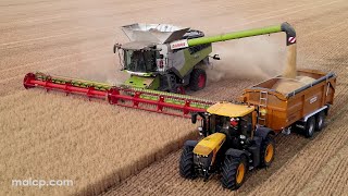 4k Harvest 2022 Claas Lexion 8900 TT harvesting Oats on Mendlesham Airfield  final part now in 4k [upl. by Aihcela616]