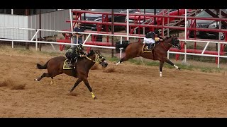 11 Cuadra Ranchito vs Cuadra Escondida a 250 Yardas22Sept2024 3 Amigos Race Track [upl. by Way]