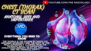 Chest Thorax CT Scan Anatomy uses and importance [upl. by Barde143]