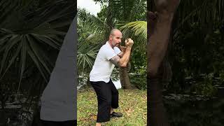 Knife Fighting Cutting Techniques  Silat [upl. by Phillane561]