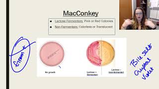 Laboratory tests media and techniques [upl. by Mulry]