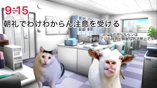 【実話】新卒1ヵ月で辞めた企業のクソみたいな研修 ＃猫マニ ＃猫ミーム [upl. by Moise]