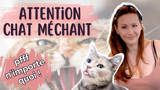 Attention chat méchant [upl. by Hallett]