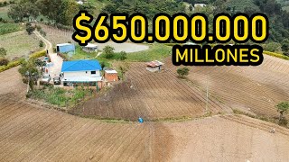 FINCA PARA LA VENTA EN FUSAGASUGA CERCA DE BOGOTA [upl. by Adnilev]