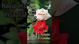 🌿🌹¨¨˜”°º★🌿🌹🌹﷽🌹🕊️ 🕋🤲ﷲAMÎÎÎÎÎN YA RABBEL ALEMÎÎÎÎNﷲ🤲🕋 [upl. by Ezirtaeb]