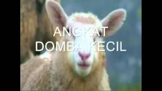 KARAOKE  DOMBA KECIL [upl. by Reiche]