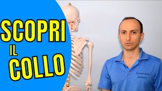 Anatomia della Colonna Vertebrale Cervicale Scopri i Dettagli Facile [upl. by Adda]