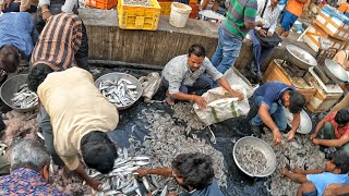 Biggest Fish Market in Hyderabad Ramnagar Walking Tour India [upl. by Chiou148]