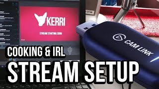 Kerri’s IRL amp Cooking Twitch Stream Setup  Powered by Elgato Cam Link [upl. by Dlanger825]