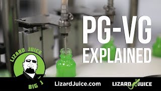 PG VG Explained [upl. by Eisdnil]