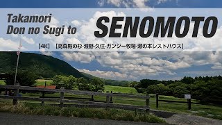 NSD202307163【4K】【高森殿の杉波野久住ガンジー牧場瀬の本レストハウス】Takamori Don no Sugi to SENOMOTO Rest House [upl. by Raddy395]