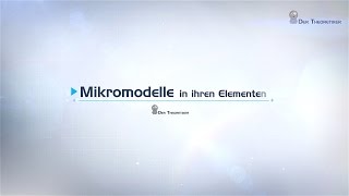 Der Theoretiker präsentiert  Mikromodelle in ihren Elementen [upl. by Mahtal]