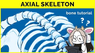 🔴 Mastering the Axial Skeleton Essential Anatomy for Artists 🦴 [upl. by Marchall]