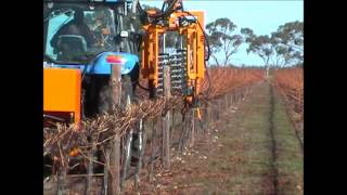 Pellenc TRV60 with Visio Pruning Machinewmv [upl. by Larina]