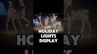 Holiday Lights Display christmas merrychristmas navidad [upl. by Hadihsar]