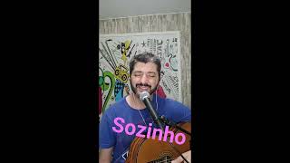 Sozinho  Caetano Veloso [upl. by Adnomal]