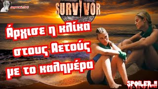 Survivor 2024 Άρχισε η κλίκα στους Αετούς με το καλημέρα [upl. by Sacks]