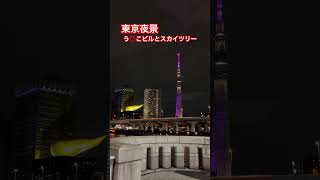 東京夜景〜う○こビルとスカイツリー [upl. by Liza]