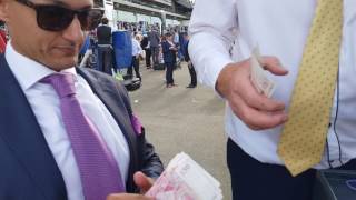 BETTING AT ROYAL ASCOT WINNING 🐴 [upl. by Perlis41]