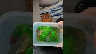 Making Frozen Gummies With Mtn Dew gummybear trending shorts [upl. by Mickey]