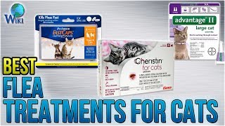 10 Best Flea Treatments for Cats 2018 [upl. by Clare94]