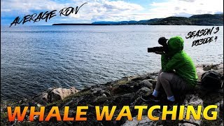 Tadoussac Quebec Whale Watching [upl. by Chastity338]