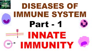 Diseases of immune system Part 1  Innate Immunity [upl. by Irena]