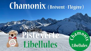 Chamonix  Piste verte Libellules domaine Brévent  Flégère [upl. by Uella]