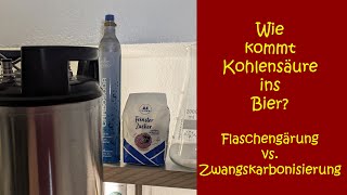 Wie kommt eigentlich die Kohlensäure ins Bier  Erklär und Verkostungsvideo [upl. by Battat543]