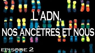 2  LADN nos ancêtres et nous [upl. by Ueih49]