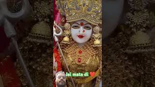 Maa bhakti div Vaishno Devi New viralvideo love maavaishnodevibhawan [upl. by Cardinal]