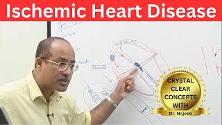 Ischemic Heart Disease  Myocardial Infarction  Cardiology🫀 [upl. by Wilfrid]