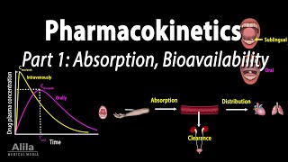 Pharmacokinetics part 1 Overview Absorption and Bioavailability Animation [upl. by Caldeira]