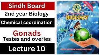 gonads  chemical coordination  class 12 biology Sindh board New book [upl. by Laryssa924]