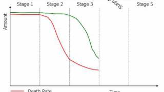 The Demographic Transition Model [upl. by Irtemed390]