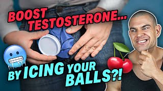 How To Boost TESTOSTERONE Levels Using An ICEPACK Icing Your Testicles Freebie Protocol [upl. by Iaj]