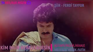 KİM BİLİR NERELERDESİNFERDİ TAYFUR🎶MELFAZE MÜZİK🎧 [upl. by Alton]